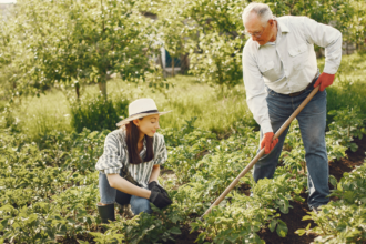 The Joy of Slow Living: Embracing a Simpler and More Purposeful Lifestyle